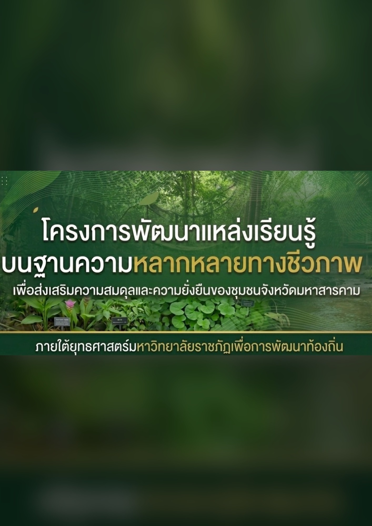 Project to Develop Biodiversity-Based Learning Resources to Promote Community Balance and Sustainability in Maha Sarakham Province