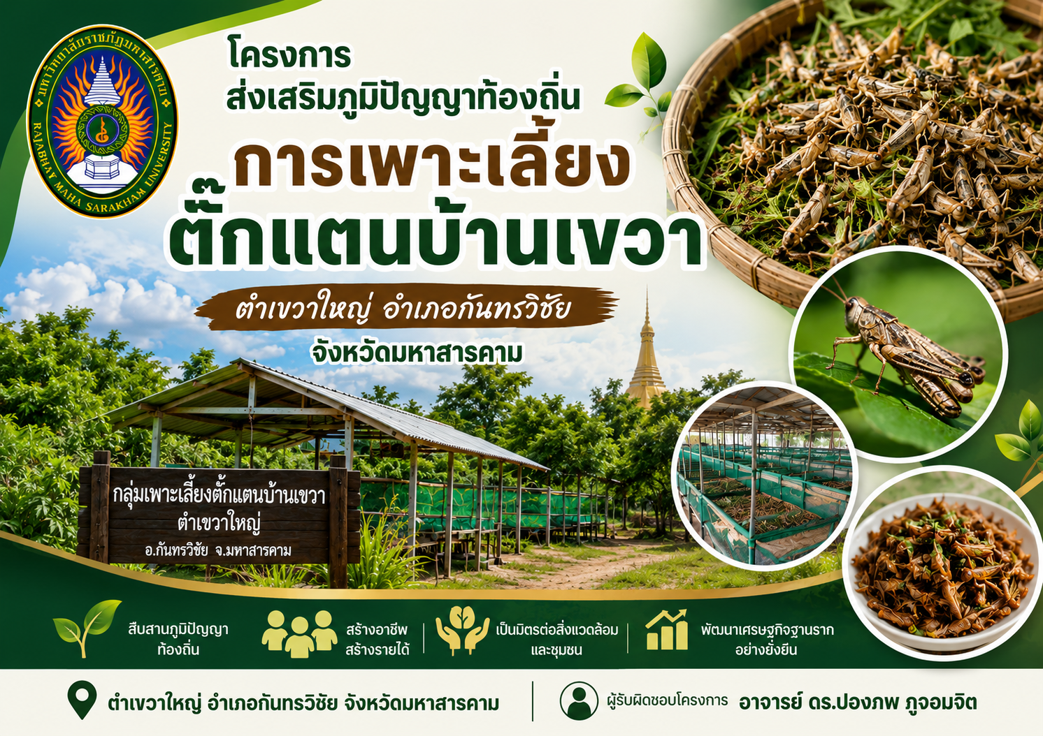 Promotion of Local Wisdom in Grasshopper Farming to Strengthen the Grassroots Economy of Ban Khwa Yai Community, Maha Sarakham Province