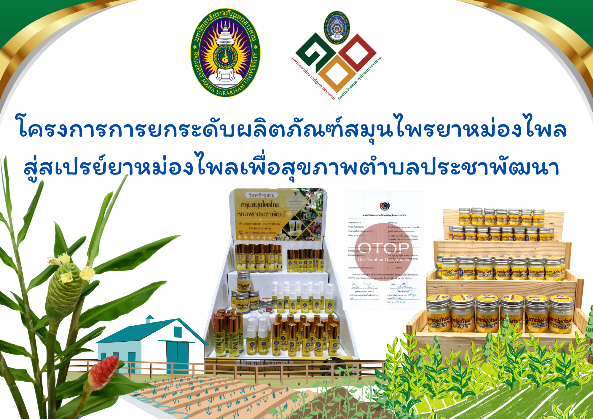 โครงการยกระดับสมุนไพรยาหม่องไพลสู่สเปรย์ยาหม่องไพลเพื่อสุขภาพ ตำบลประชาพัฒนา